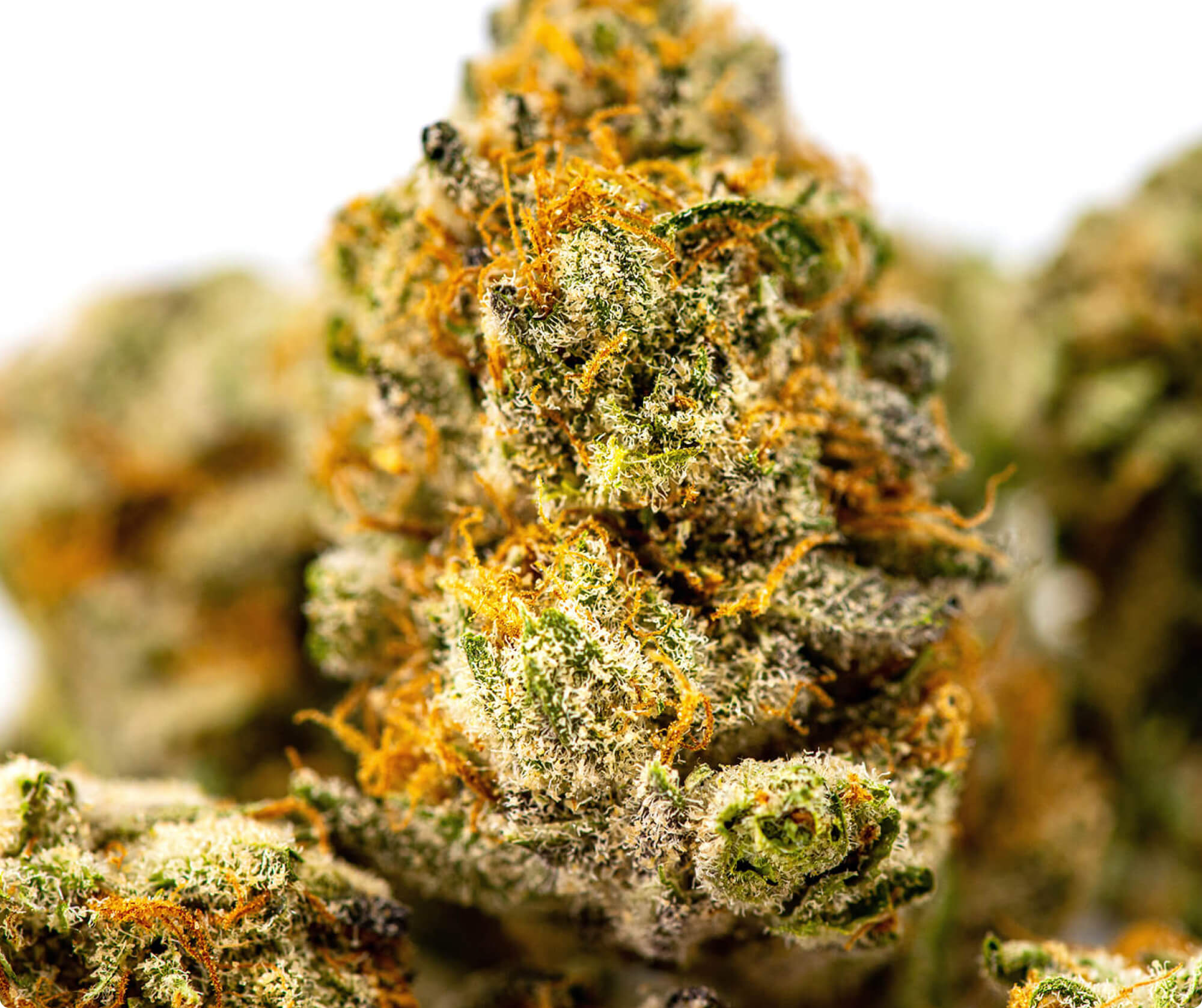 Cali Flwr Farms - Hawaii Electric